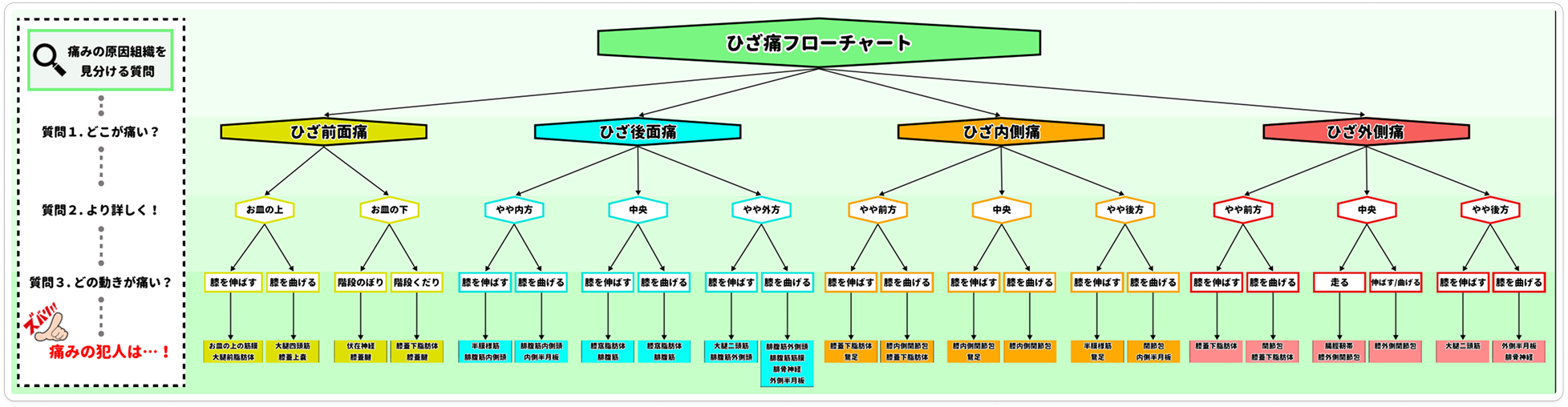 膝痛フローチャートPDF